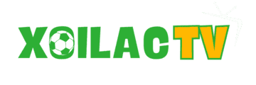 dich vu thiet ke logo